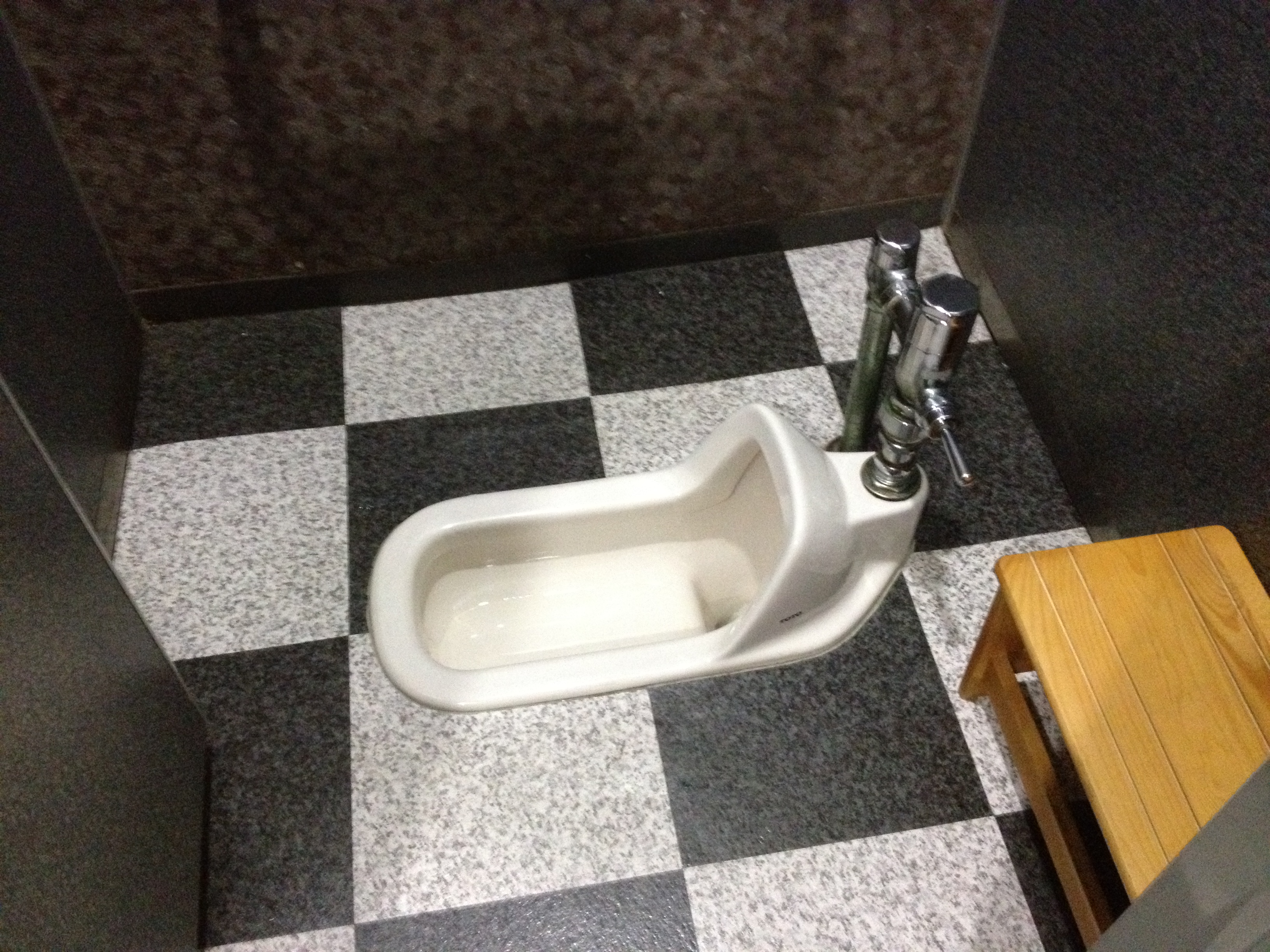 Japanese Toilets From Squatting To Robotic IntrovertJapan